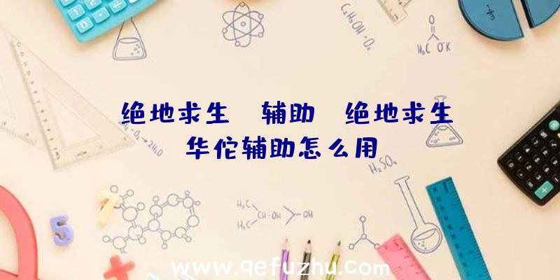 「绝地求生td辅助」|绝地求生华佗辅助怎么用